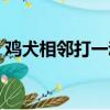 雞犬相鄰打一動物生肖（雞犬相鄰打一生肖）