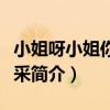 小姐呀小姐你多風采（關于小姐呀小姐你多風采簡介）