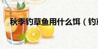 秋季釣草魚用什么餌(釣草魚用什么餌)