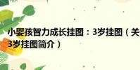 小嬰孩智力成長掛圖:3歲掛圖(關于小嬰孩智力成長掛圖:3歲掛圖簡介)