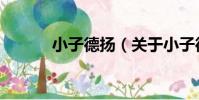 小子德揚(關于小子德揚簡介)
