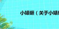 小婊砸(關于小婊砸簡介)