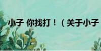 小子 你找打!(關于小子 你找打!簡介)