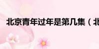 北京青年過年是第幾集(北京青年多少集)