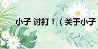小子 討打!(關于小子 討打!簡介)