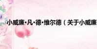 小威廉·凡·德·維爾德(關于小威廉·凡·德·維爾德簡介)