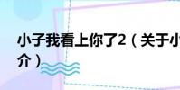 小子我看上你了2(關于小子我看上你了2簡介)