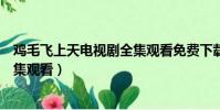 雞毛飛上天電視劇全集觀看免費下載(雞毛飛上天電視劇全集觀看)