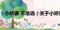 小嬌妻 不準逃(關于小嬌妻 不準逃簡介)