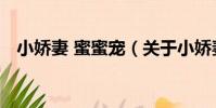 小嬌妻 蜜蜜寵(關于小嬌妻 蜜蜜寵簡介)