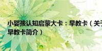 小嬰孩認知啟蒙大卡:早教卡(關于小嬰孩認知啟蒙大卡:早教卡簡介)
