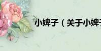 小婢子(關于小婢子簡介)