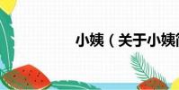 小姨(關于小姨簡介)