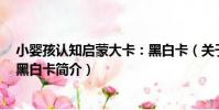 小嬰孩認知啟蒙大卡:黑白卡(關于小嬰孩認知啟蒙大卡:黑白卡簡介)