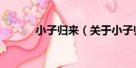 小子歸來(關于小子歸來簡介)