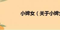 小婢女(關于小婢女簡介)