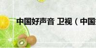 中國好聲音 衛視(中國好聲音奇藝)