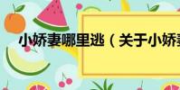 小嬌妻哪里逃(關于小嬌妻哪里逃簡介)