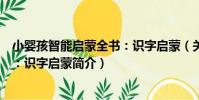 小嬰孩智能啟蒙全書:識字啟蒙(關于小嬰孩智能啟蒙全書:識字啟蒙簡介)