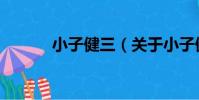 小子健三(關于小子健三簡介)