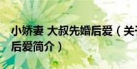 小嬌妻 大叔先婚后愛(關于小嬌妻 大叔先婚后愛簡介)