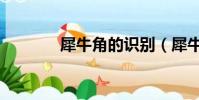 犀牛角的識別(犀牛角識別)