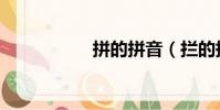拼的拼音(攔的拼音)