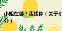小姐在哪?我找你(關于小姐在哪?我找你簡介)
