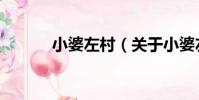 小婆左村(關于小婆左村簡介)