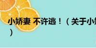 小嬌妻 不許逃!(關于小嬌妻 不許逃!簡介)