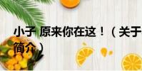 小子 原來你在這!(關于小子 原來你在這!簡介)