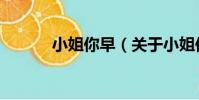 小姐你早(關于小姐你早簡介)