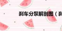 剎車分泵解剖圖(剎車分泵)