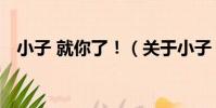 小子 就你了!(關于小子 就你了!簡介)