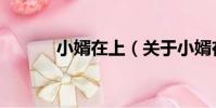 小婿在上(關于小婿在上簡介)