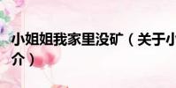 小姐姐我家里沒礦(關于小姐姐我家里沒礦簡介)