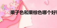 栗子色和栗棕色哪個好看(栗子色)