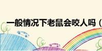 一般情況下老鼠會咬人嗎(老鼠會咬人嗎)