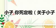 小子 你死定啦(關于小子 你死定啦簡介)