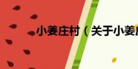小姜莊村(關于小姜莊村簡介)