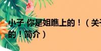 小子 你是姐瞧上的!(關于小子 你是姐瞧上的!簡介)