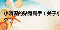 小嬌妻的貼身高手(關于小嬌妻的貼身高手簡介)