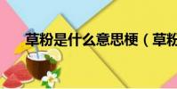 草粉是什么意思梗(草粉是什么意思)
