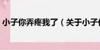 小子你弄疼我了(關于小子你弄疼我了簡介)