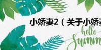 小嬌妻2(關于小嬌妻2簡介)