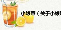 小娘惹(關于小娘惹簡介)