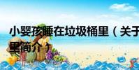 小嬰孩睡在垃圾桶里(關于小嬰孩睡在垃圾桶里簡介)