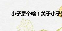 小子是個啥(關于小子是個啥簡介)