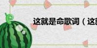這就是命歌詞(這就是命)