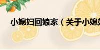 小媳婦回娘家(關于小媳婦回娘家簡介)